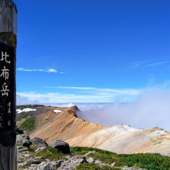 比布岳
愛別岳はガスが上がってきて真っ白になり、行くのは止めました
心の中で大きく安堵🤣