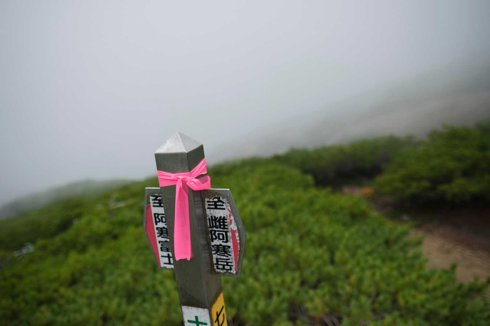 オンネトー登山口-雌阿寒岳 往復コースの写真