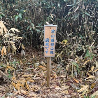 廃道となってる定天小屋からの登山道