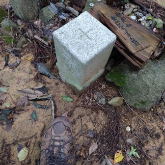鳥居の後ろに三等三角点。