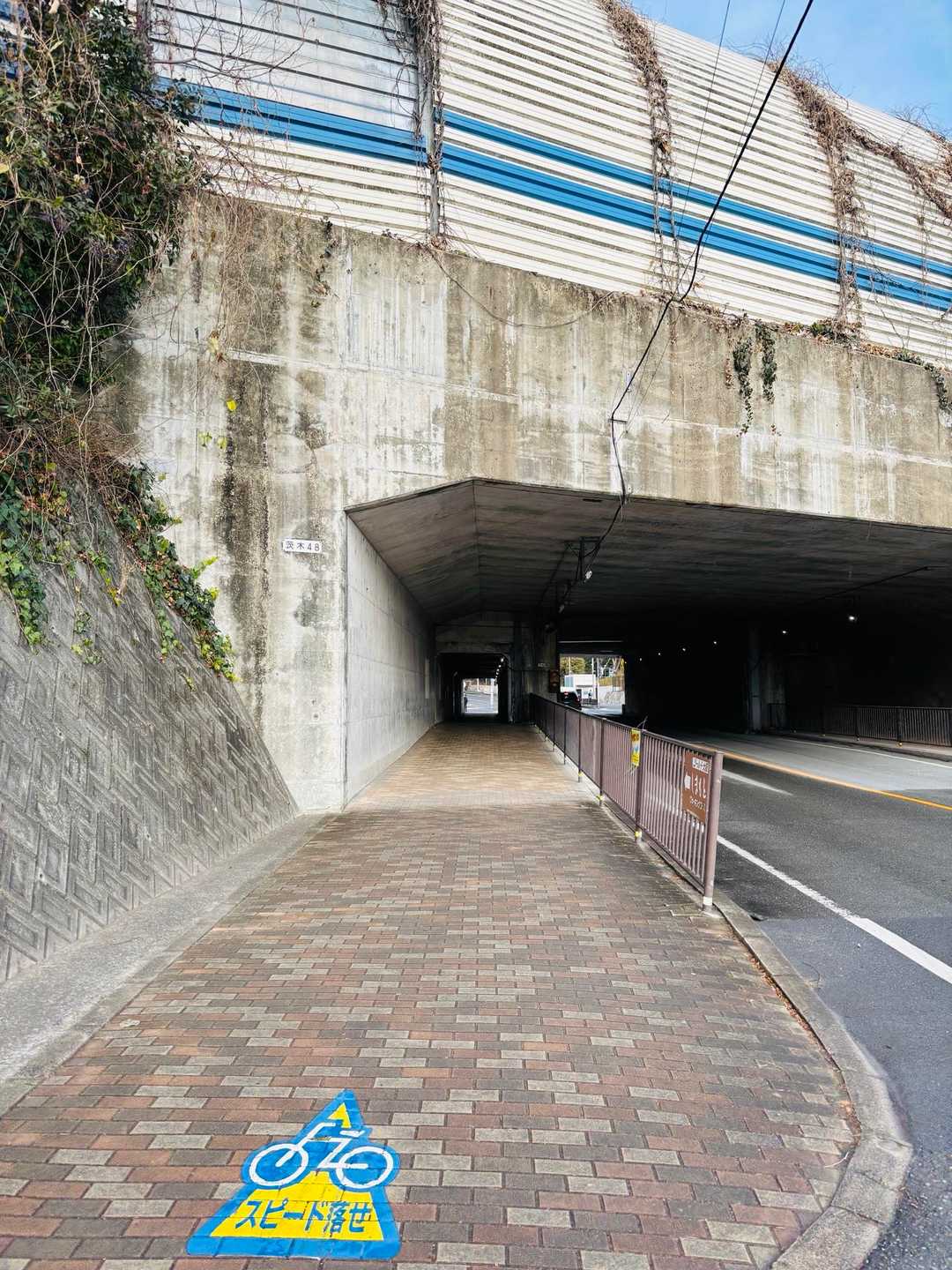 名神の下をくぐります〜😌