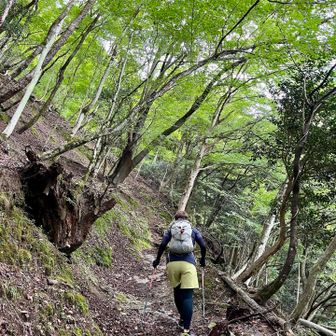 おはようございます
久しぶりの大好き西丹沢〜♪
湿度が高くてジメジメなこの日、めでたく速攻ヒルの餌食になりました😇
プクプクにmy bloodを吸って膨れ上がった2匹を発見しンギャー！！
スタート直後から別の意味で一気にテンション上がる🤣