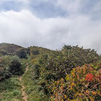 さて縦走スタート🏃
竜門岳山頂。