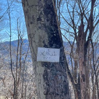 ここまで登って