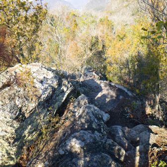 岩場を歩きますが、安全な登山道