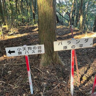 バランダ？いろいろな地名が？この辺りが奧山北の山頂付近？