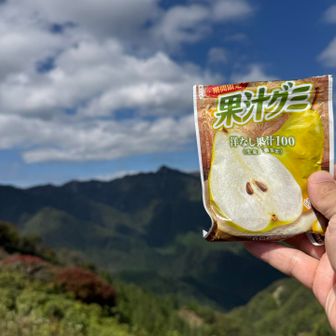 行動食にグミキャンディの洋梨味☺️
🐴い