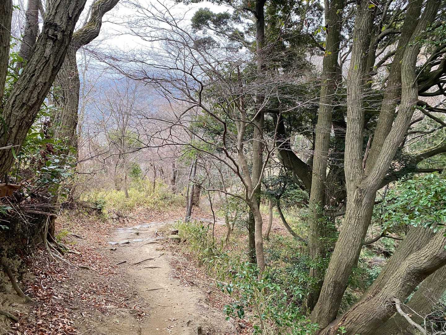 新神戸駅-滝山城跡登山口-城山-市章山-錨山・市章山登山口 縦走コースの写真
