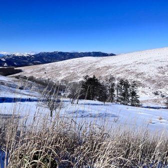 時間がないので、短縮行程でGO