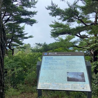 富士山見えるの⁉️