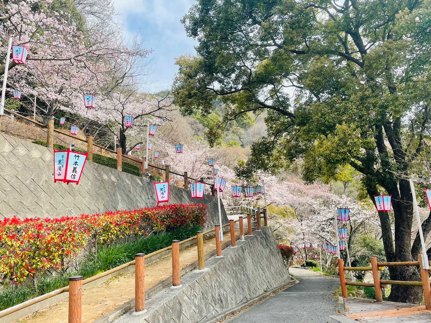 黒滝山 往復コースの写真