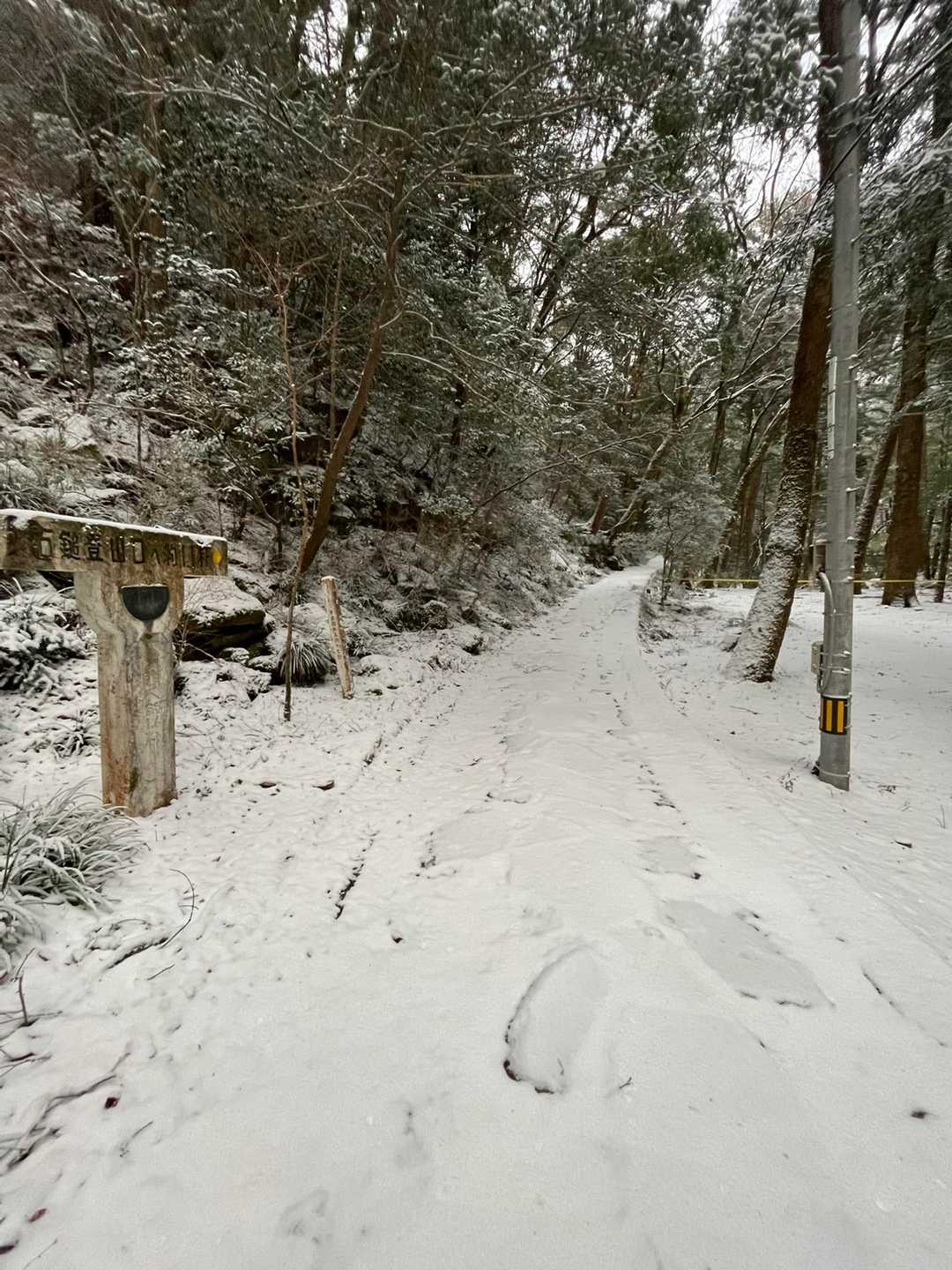 数センチ積もってました