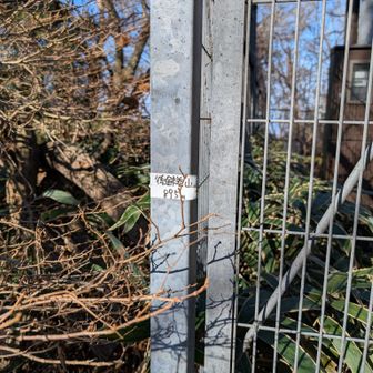 ここが山頂て分かりにくい🤣