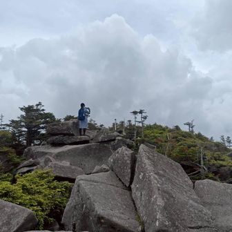 ちゅの