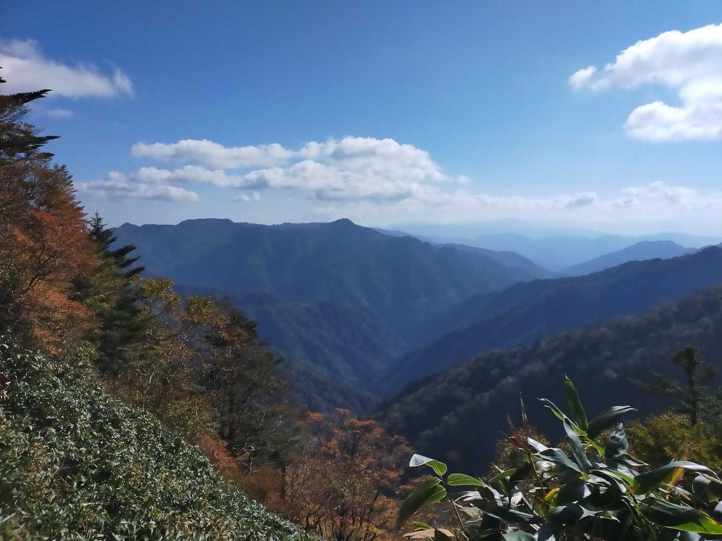 いいねぇ〜😍