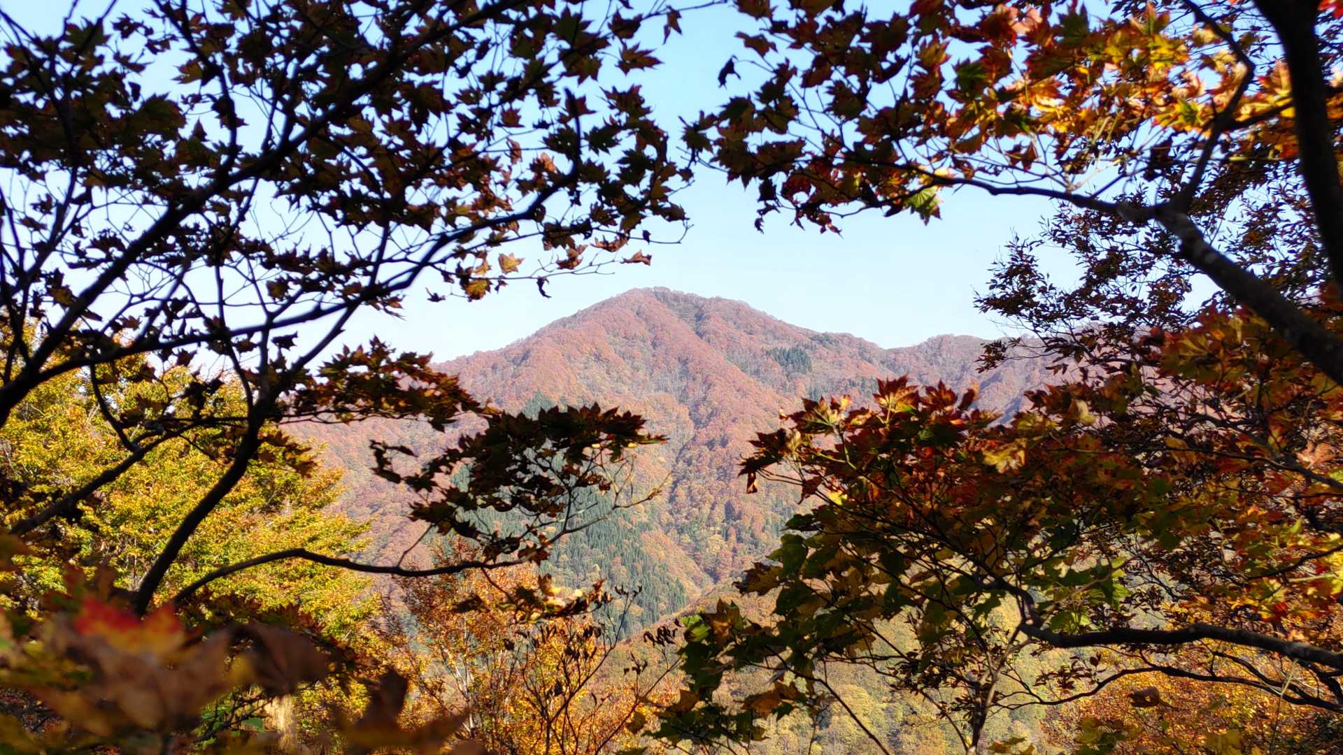 大蔵山-三五郎山-菅名岳 周回コースの写真