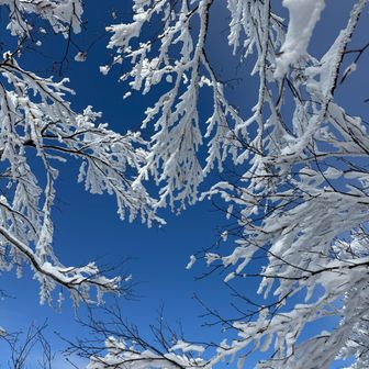 山登りを始めるまで雪が大嫌いでした。
雪かきが面倒で
移動に時間が掛かって
何でこんな土地に人は住み着いたのか⁉️
と真面目に疑問に思ってました。