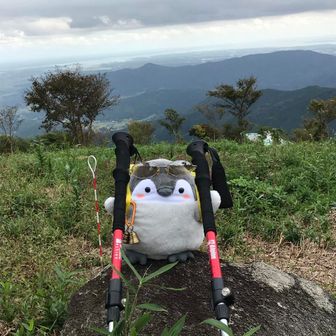 とみかわひとか