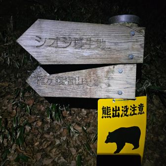 これが正解の黒
ナイトハイク久しぶりな気がする
道の駅から14分だと思ったら直線距離で実際は45分😭
5時にはスタートして上で日の出を見る計画が😮‍💨