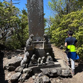 🐺たくさん🐺
息子の推しが「莉犬くん」って犬キャラ？で三峯神社に興味を持ったみたいです。
良いお天気の日に、憧れの地に来れて大満足❣️
