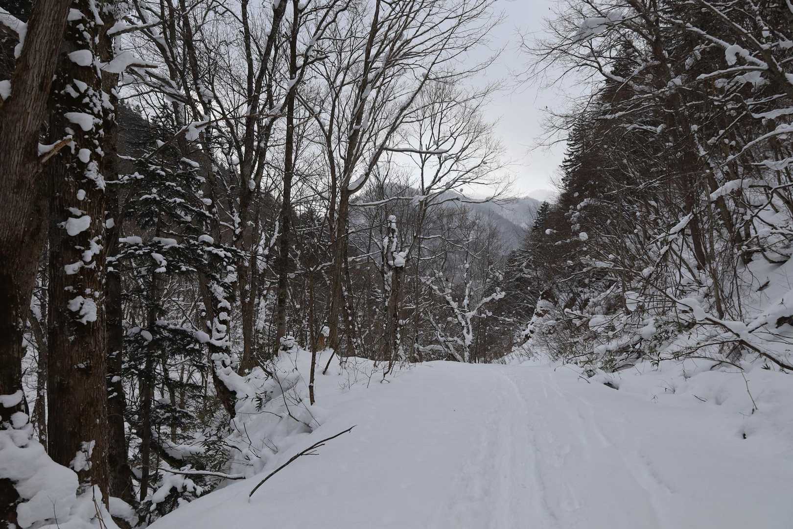 曇ってるけど雪降ってないだけマシか