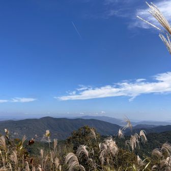 気持ちいい秋晴れ🎑