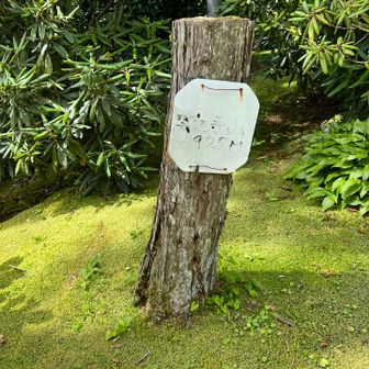 大師堂の境内に、
雲辺寺927ｍの標識がありました。
あれ、こんなところにあるんだと意外でした。