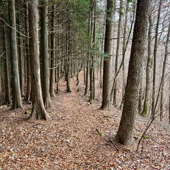 気持ちいいです
