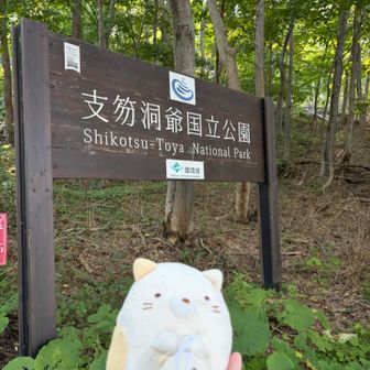 支笏洞爺国立公園🏞️