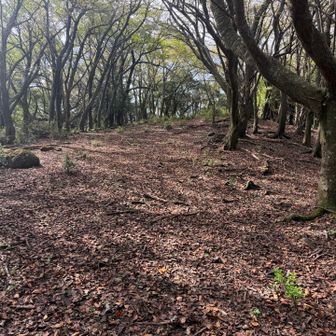 古城山に到着