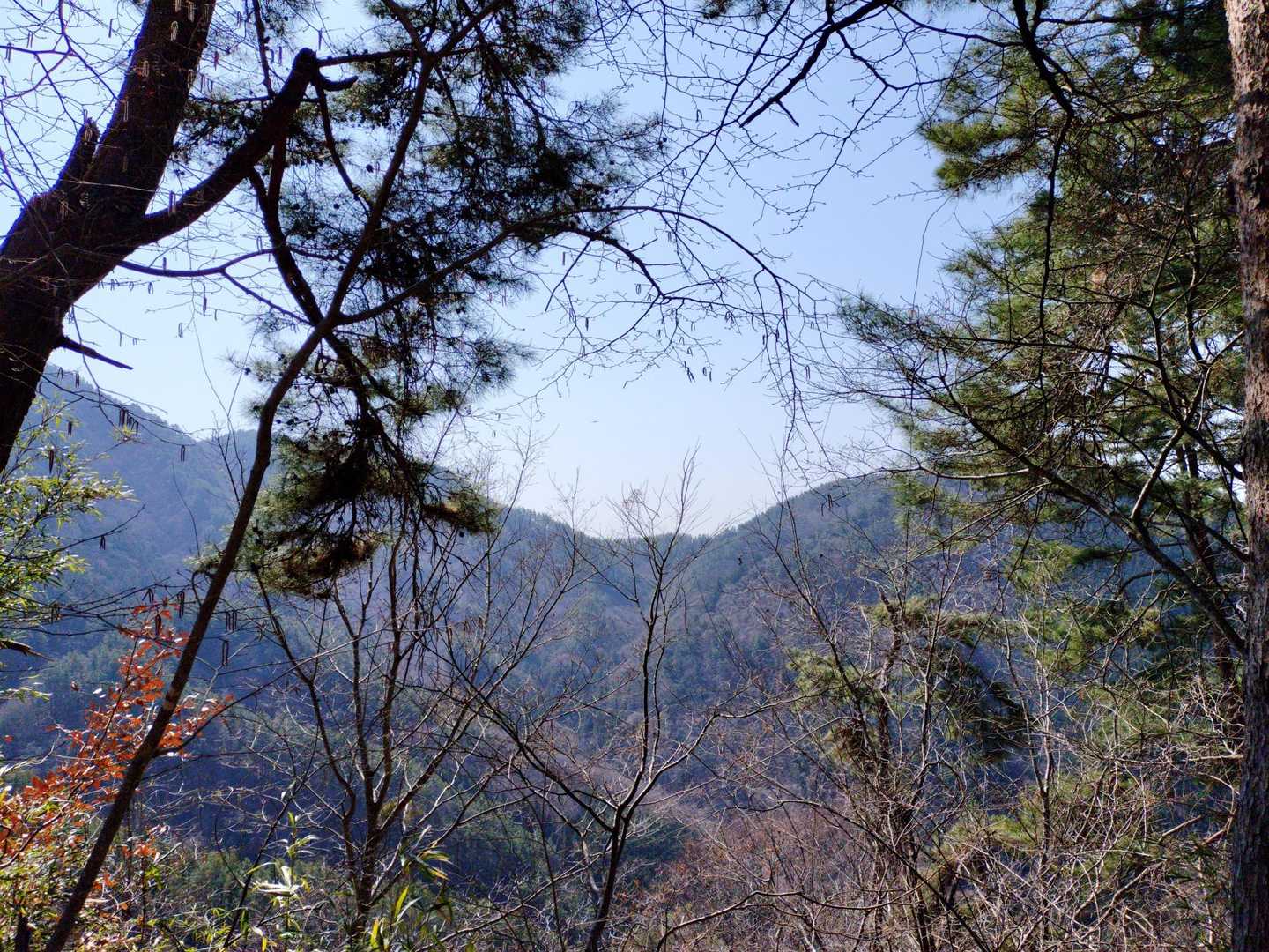 ここ富士山見えるはずですが…💦