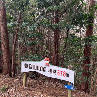 到着デス
展望無し