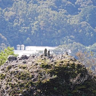 あそこにも仏様
行けるの！？