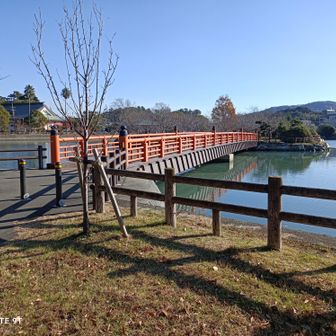 御手洗池公園の小島を渡って