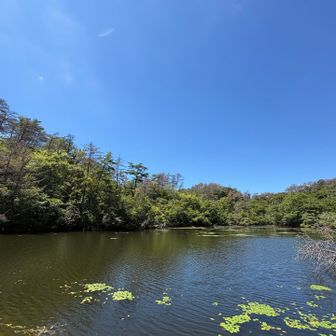 池に到着😁
この先が蜘蛛の巣地獄😭
