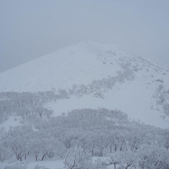 ユニ石狩岳

カッコええのぅ