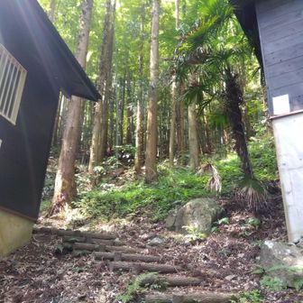 ロープの激下りとルートロスちょっと、無事にバンガローの間に下りて来ました