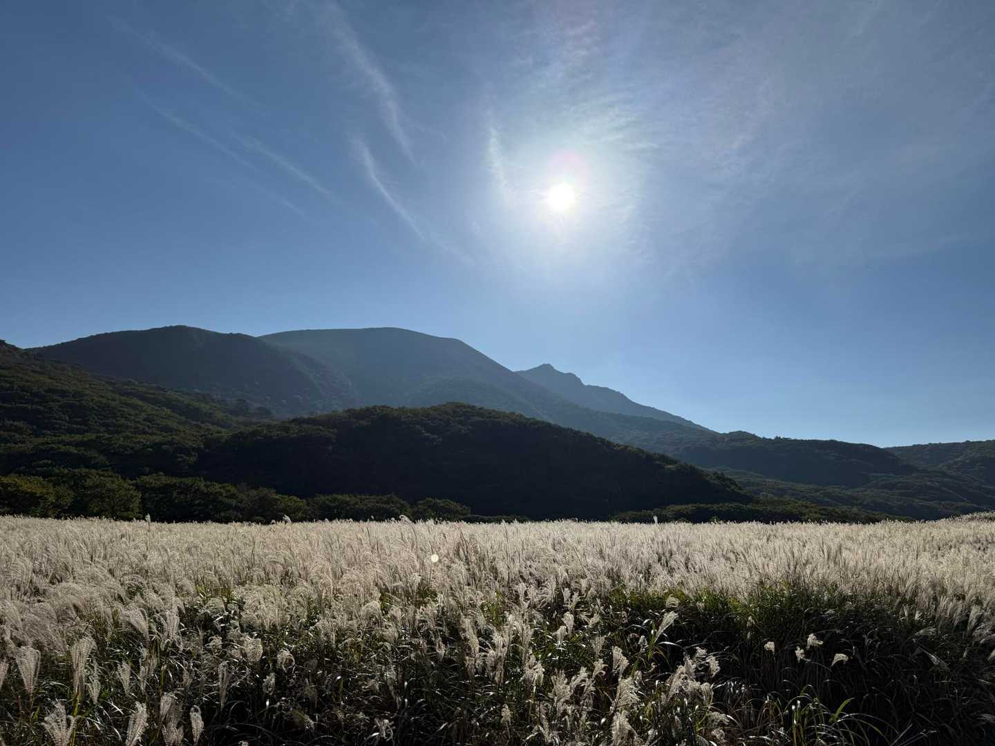 吉部登山口-大船山 往復コースの写真
