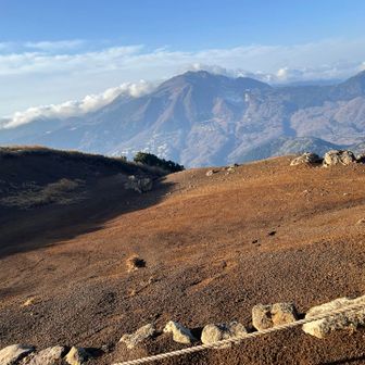 土の感じが火山っぽい