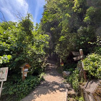 白谷沢登山口よりスタート
本日は、こちらをピストン▶️