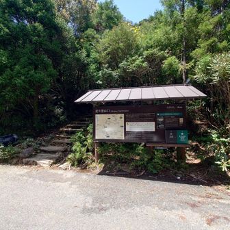 世界自然遺産屋久島山岳部環境保全協力金が日帰り入山の場合1000円、山中で宿泊入山の場合2000円でした👍