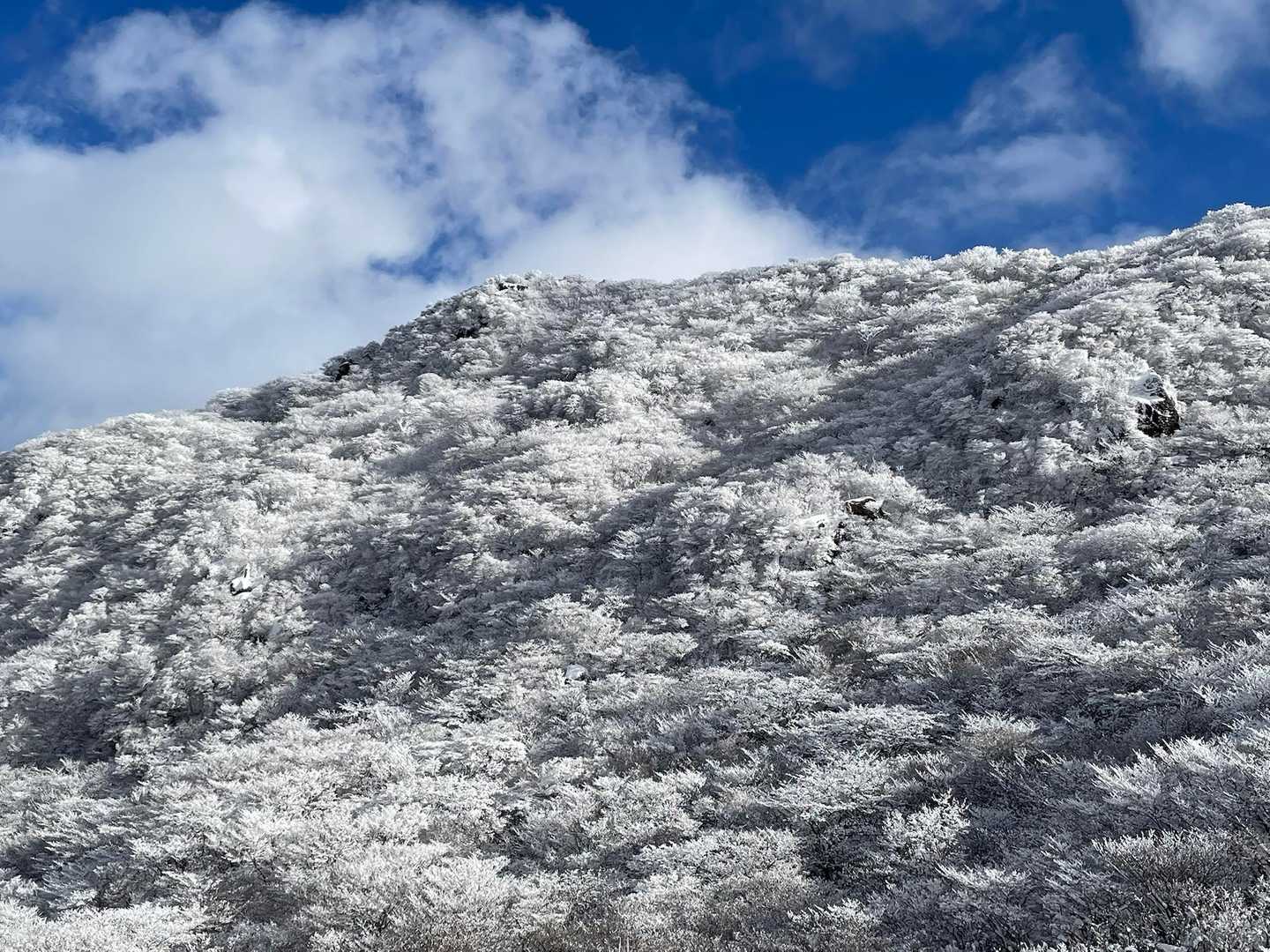 サイコーの景色をありがとう！