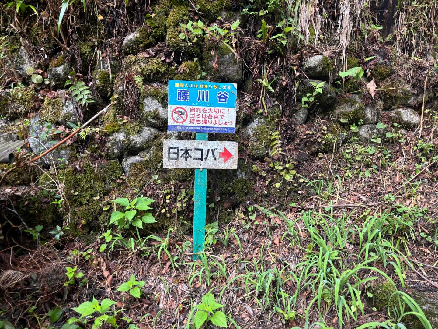 ここから藤川谷を登っていきます👍