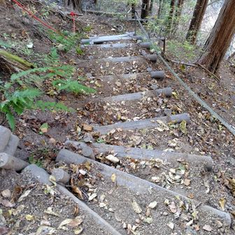 ぐんぐん下ります