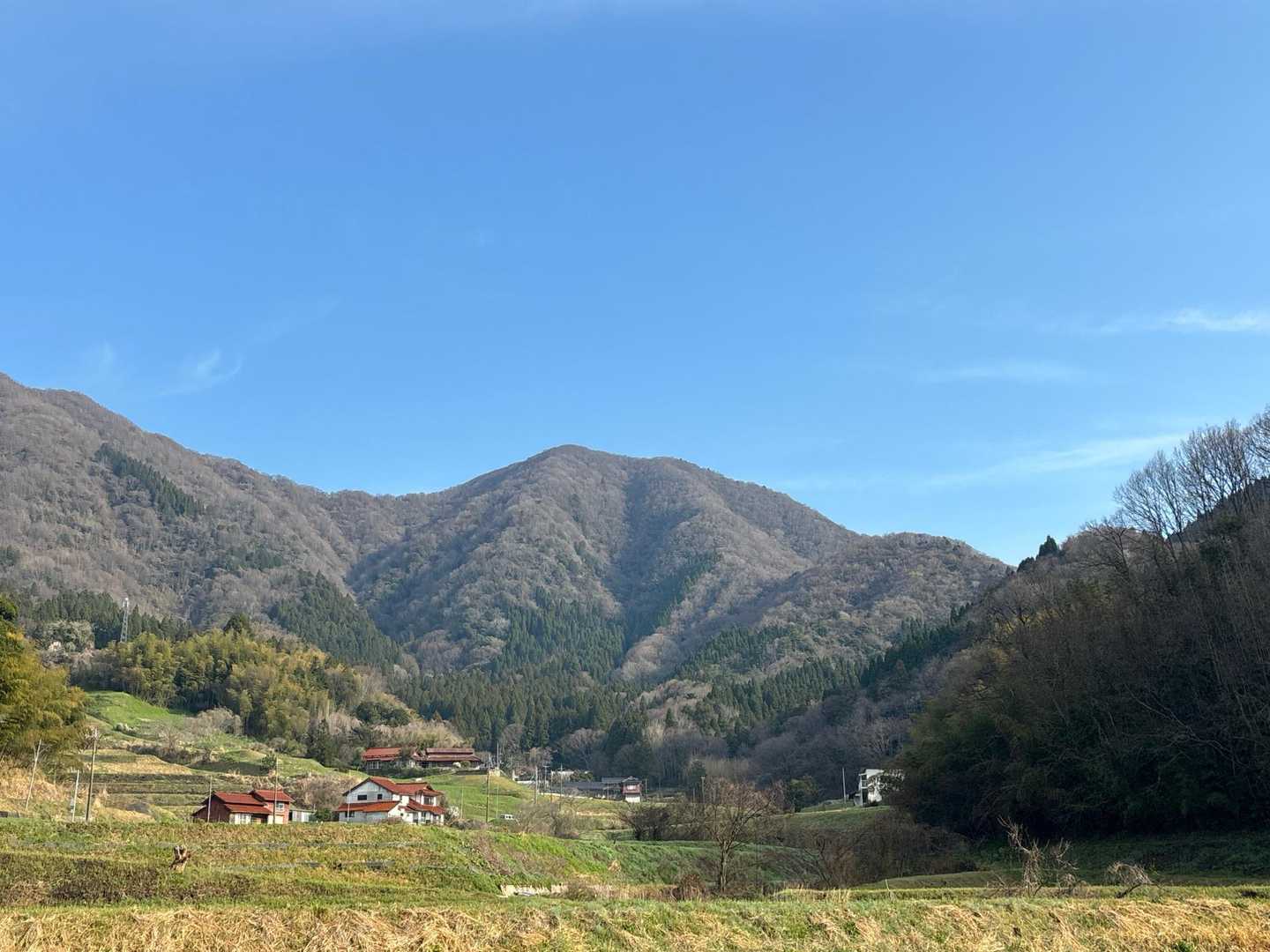 いい天気です☀️