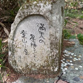 写真をとった時はメガネに気が付いてなくて、後で見返してメガネにびっくりした