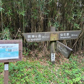 明神ヶ岳はまたの機会に。