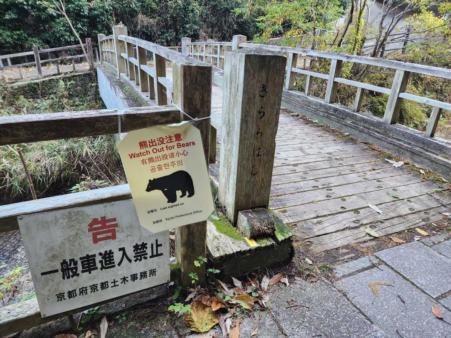 きらら橋
熊さん居るらしい🐻