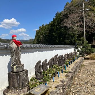 常善寺🅿️停めさせていただきました。