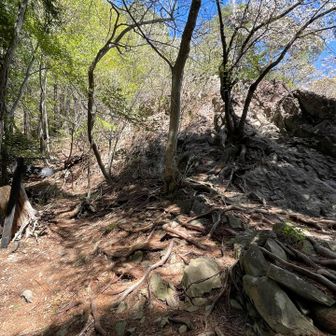 戻りいざ大天狗へ